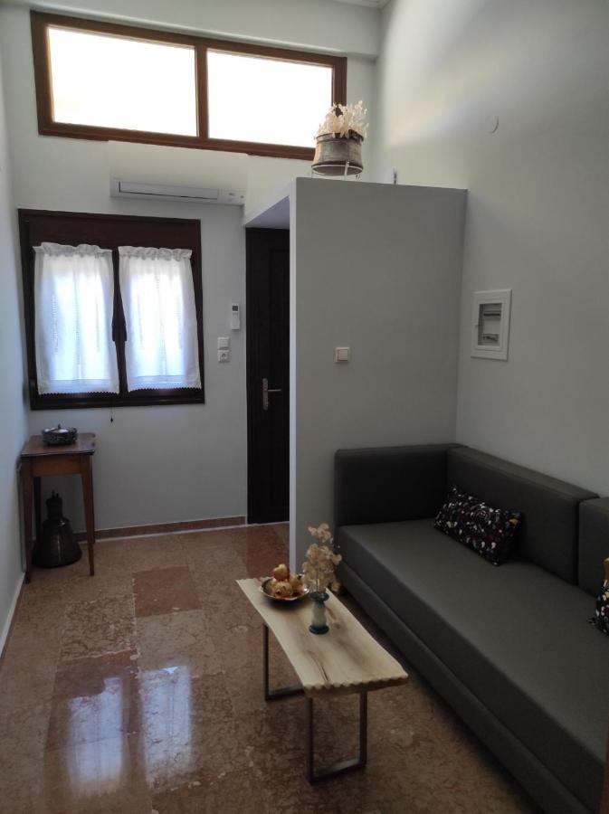 Lakmos Studios Ioannina Extérieur photo